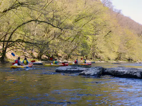 Groupe de kayaks sur l'Ourthe occidentale, entre des rochers et des berges boisées au printemps