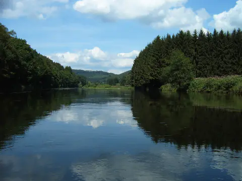 La Semois calme sous un ciel bleu, entre une forêt de sapins et des collines boisées