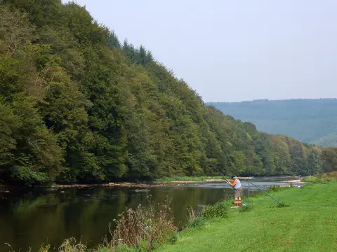 La Semois à Poupehan, le long du camping Le Prahay, entre coteaux boisés et prairie