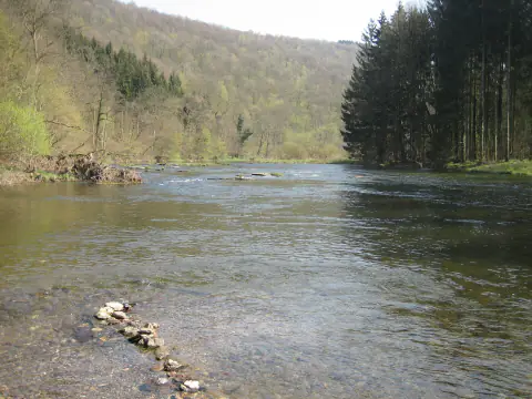 La Semois sur un haut-fond de galets, entre des collines boisées d'Ardenne