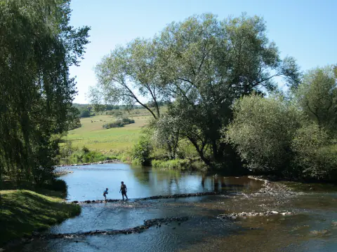 Le Viroin à Treignes, petit cours d'eau peu profond bordé de saules et de prairies